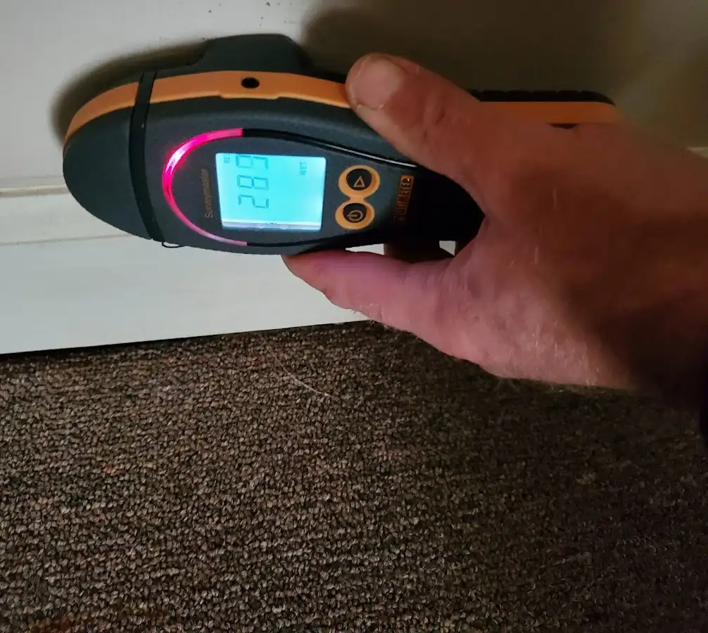 Moisture detection at baseboard during Mold Inspection & Testing in Kuna